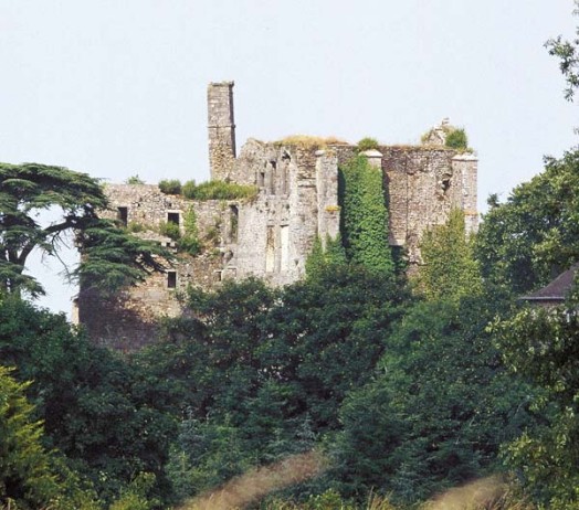 Chateauneuf d'ille et vilaine